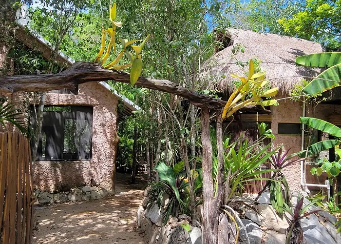 Casa & Palapa De La Selva
