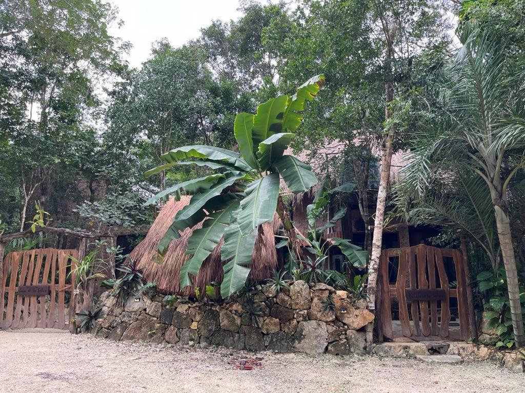 Сasa de vacaciones Casa & Palapa De La Selva *