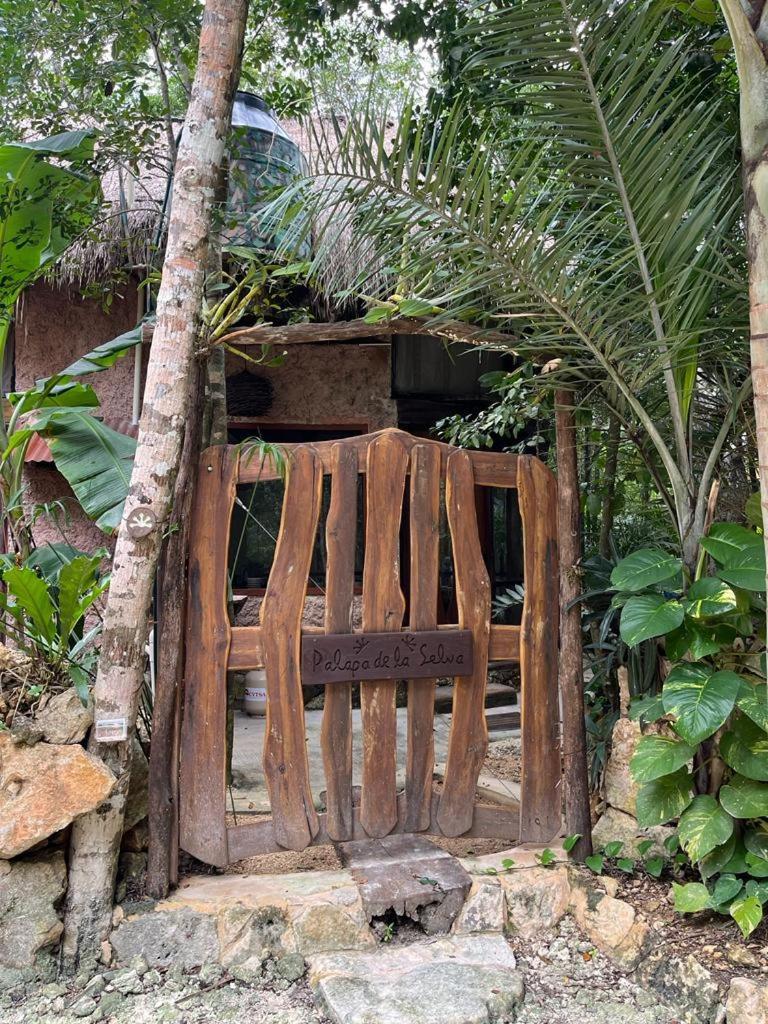 Casa & Palapa De La Selva *