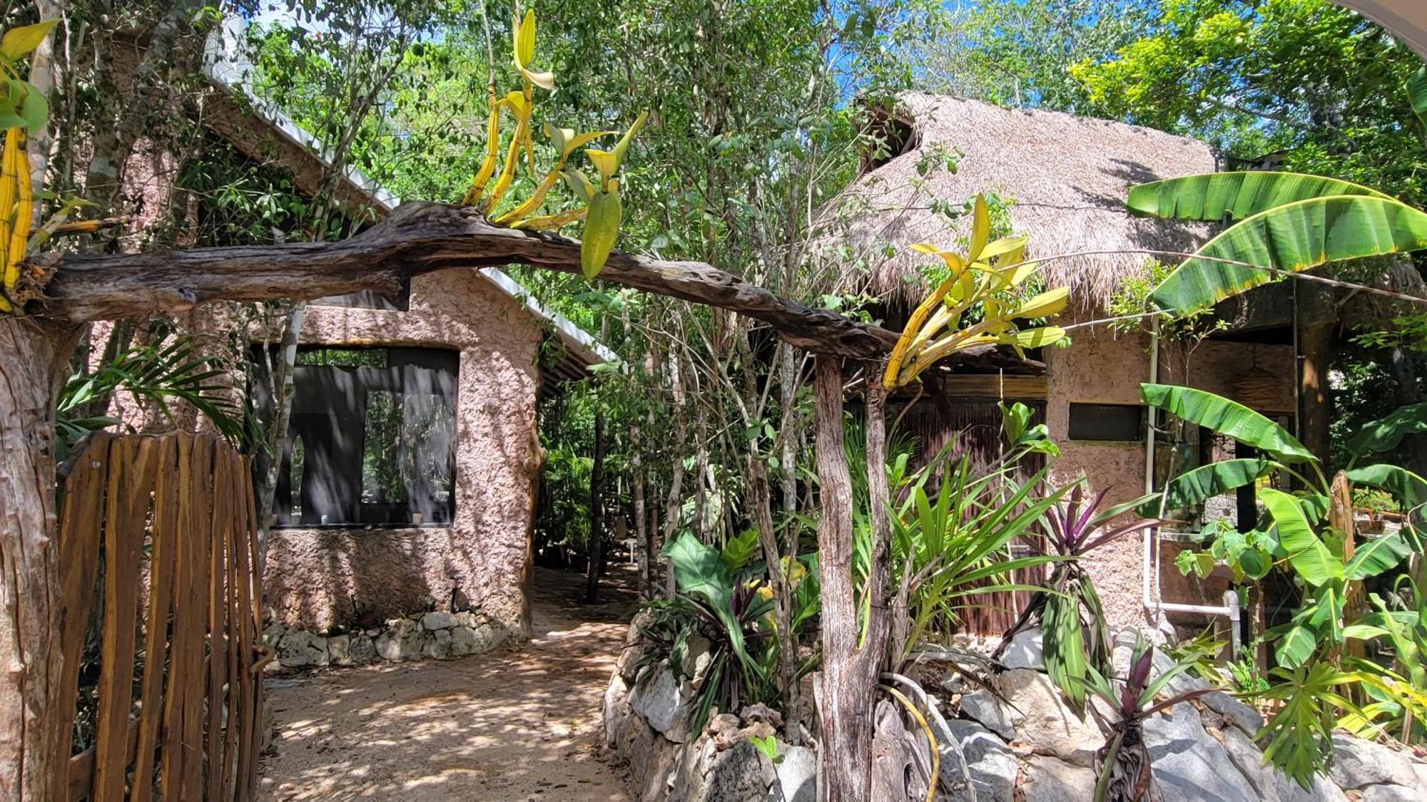 Casa & Palapa De La Selva Сasa de vacaciones *