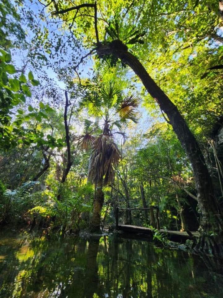 Casa & Palapa De La Selva *