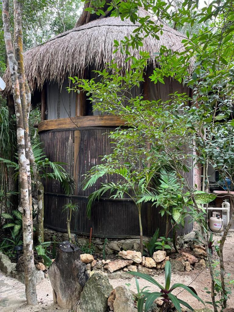 Сasa de vacaciones Casa & Palapa De La Selva Playa del Carmen