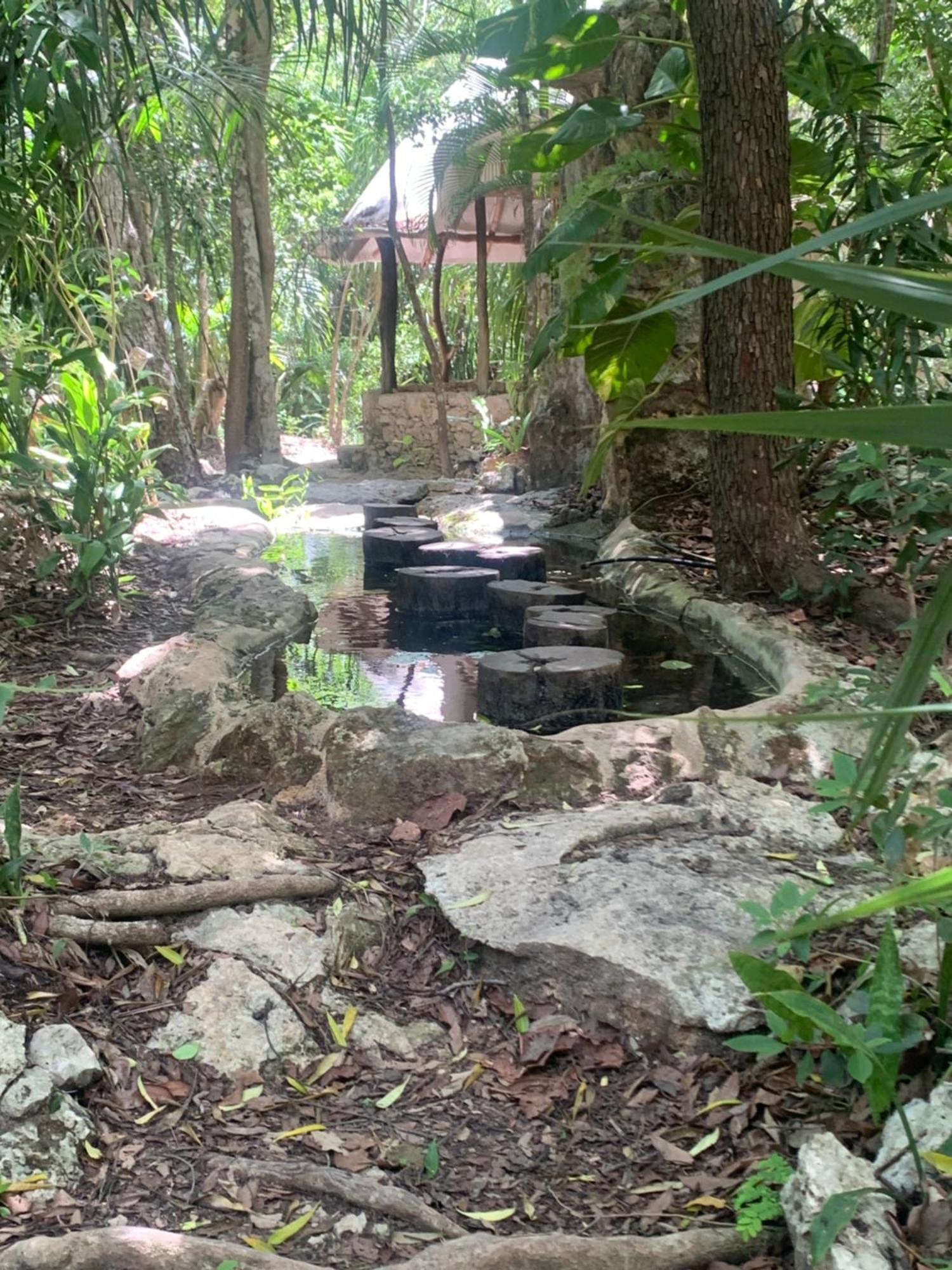 Casa & Palapa De La Selva *